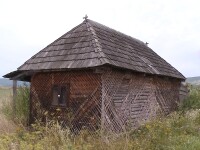 Destin amar pentru o femeie. A disparut de acasa de trei saptamani si a fost gasita moarta intr-o locuinta din vecini