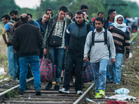 imigranti in Ungaria