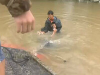 inundatii Louisiana