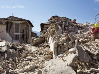 cutremur Italia cautari