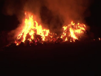 incendiu Botosani
