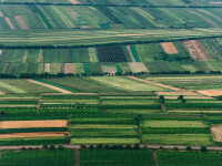 agricultura Romania