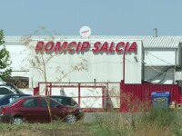Romcip Salcia
