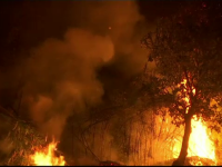 1.600 de pompieri luptă cu incendiile de vegetație în Portugalia