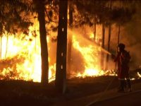 incendii Portugalia