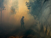 Un pompier se luptă cu flăcările, într-o pădure din sudul Portugaliei