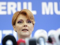Olguţa Vasilescu: Nu există aşa ceva, să facem o nouă rectificare bugetară