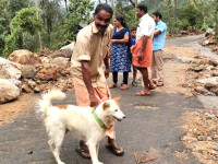 câine India