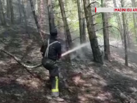 incendiu pădure