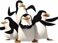 pinguinii din filmul Madagascar