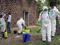 epidemie Ebola