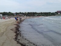 poluare litoral