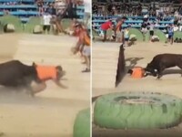 Festival încheiat tragic, în Spania. Un tânăr împuns de taur a sângerat până la moarte