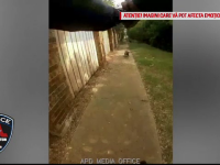 VIDEO. Momentul în care un polițist, speriat de un câine, împușcă mortal o femeie