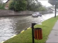 Moreni și Fieni, inundate în câteva minute. Numere de înmatriculare, pierdute în apă