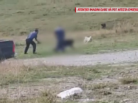 Bărbat filmat în timp ce lovește cu bâta un câine ciobănesc