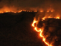 Amazon, Brazilia, incendiu