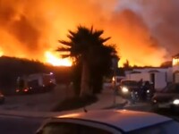 Incendiu uriaș în stațiunea Marbella