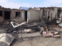 Reacția a 3 copii orfani, în momentul în care și-au văzut casa în flăcări. ”A fost șoc”