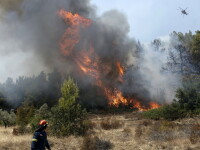 incendii de vegetaţie în Grecia