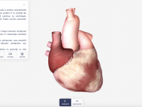 (P) PREMIERĂ: Medicină 3D online pentru studenți, în limba română, prin BioMap.ro