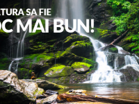 (P) RESPO DEEE - o nouă organizație de transfer responsabilitate în domeniul echipamentelor electrice si electronice