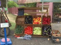 Cum sunt păcăliți românii cu așa-zisele legume din grădină vândute în fața porții
