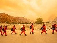 VIDEO. Incendii devastatoare în California. 5 morți și 100.000 de persoane evacuate