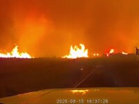 Incendii devastatoare în California. Poluarea a atins recorduri istorice