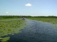 Creșterea uriașă de turiști în Delta Dunării a adus și multe gunoaie în zonă