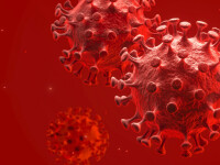 Cum atacă inima noul coronavirus. Oamenii de știință sunt bulversați: 