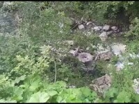 Patru turiști, la un pas de moarte. Mașina în care se aflau a căzut într-o râpă