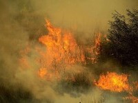 Tragedie în Bulgaria. Doi oameni au murit în timp ce luptau împotiva unui incendiu forestier