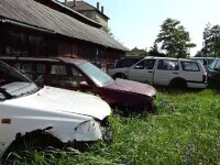 Baba oarba între autorități și un bărbat care a umplut o stradă din Năsăud cu peste 100 de rable