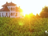 Wine Trips România | Descoperind vestitul Negru de Drăgășani la Crama Avincis