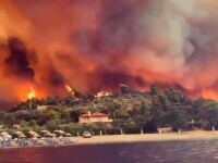 Insula Evia, cuprinsă de flăcări uriașe. Sunt cel puțin 55 de focare active. FOTO & VIDEO