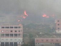 Incendii violente de vegetație în Algeria. Zeci de oameni au murit