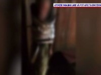 Cinci tineri din Vaslui și-au legat amicul de pahar de un copac și l-au umilit. Sunt acum cercetați penal