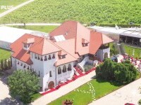 Wine Trips România | Răsfăț culinar și vinuri de poveste pe tărâmul bucuriei al Casei Timiș