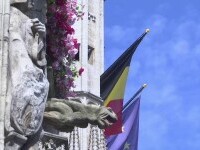 Imagini superbe surprinse în Belgia. Monumentele și clădirile istorice din Bruxelles au fost decorate cu flori