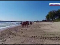 Operațiune dramatică de salvare, la Neptun, lângă reședința prezidențială