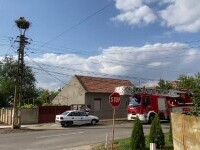 Autoritățile, puse pe jar degeaba. Salvatorii fuseseră chemați pentru doi pui de barză