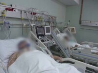 Români cu certificate false de vaccinare anti-COVID, în stare gravă într-un spital din Timișoara. S-a deschis o anchetă