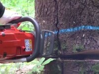 Concursul „Drujba de aur” și-a găsit câștigătorul. Care a fost premiul