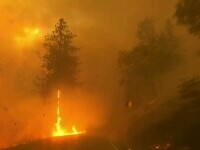 Incendii devastatoare în California. A fost decretată stare de urgență
