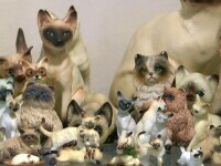 O familie din SUA vrea să intre în Cartea Recordurilor pentru cea mai mare colecție de figurine de pisici
