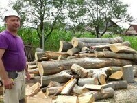 Românii își fac provizii de lemne pentru iarnă, în ciuda prețurilor aproape duble. Cereri în creștere și pentru sobe