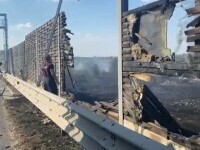 Incendiu de vegetaţie uriaș, în Arad. Focul a cuprins panourile fonoabsorbante de pe marginea autostrăzii. VIDEO