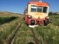 Un tren Regio a deraiat după ce a lovit o vacă în Mureș