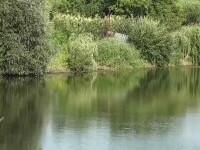 Șfârșitul unui bărbat care a vrut să se răcorească în râul Mureș. Cei care-l însoțeau s-au îngrozit de ce au văzut